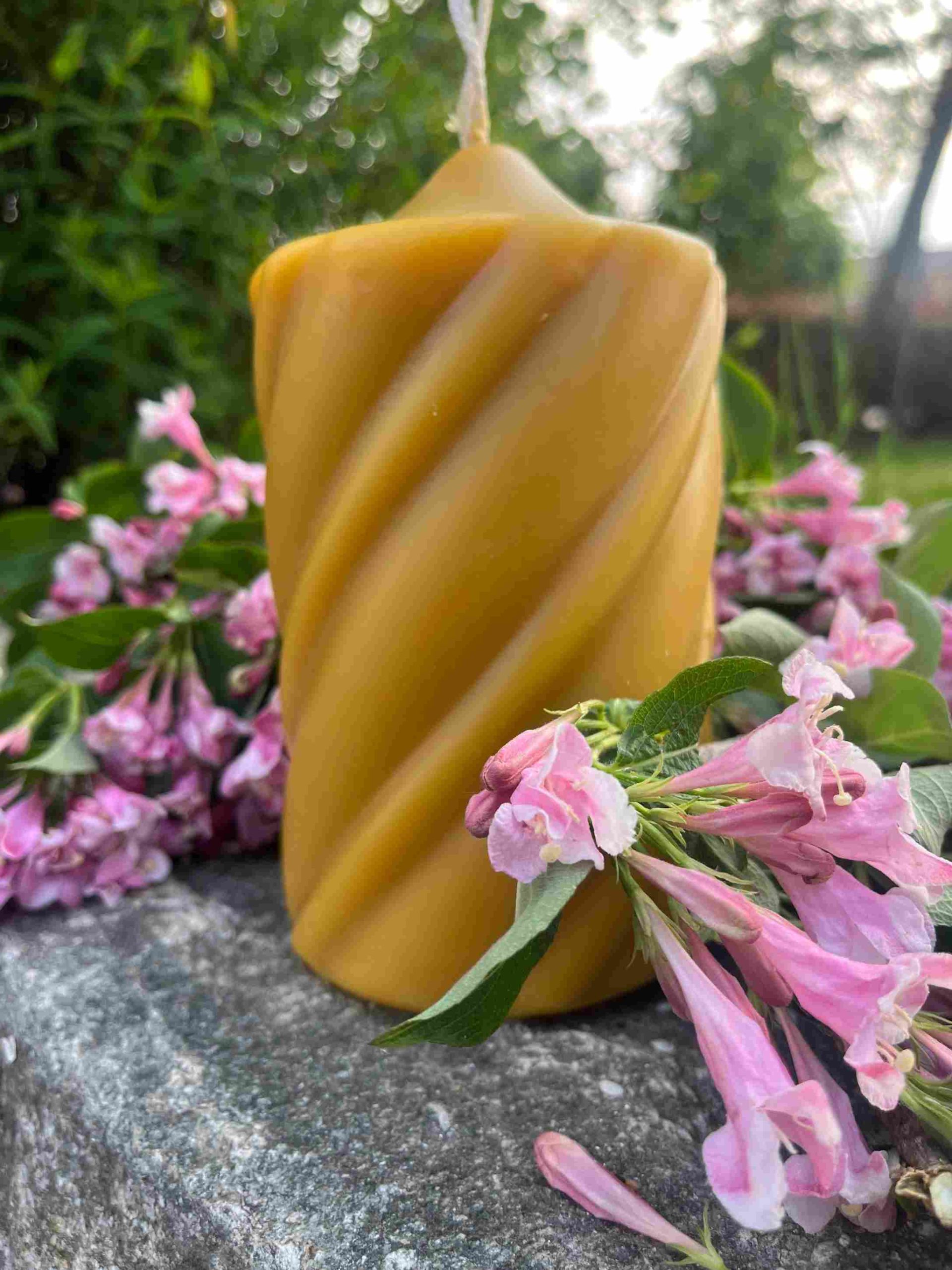 Candela Cero Caramello in cera d'api (Art. 371)