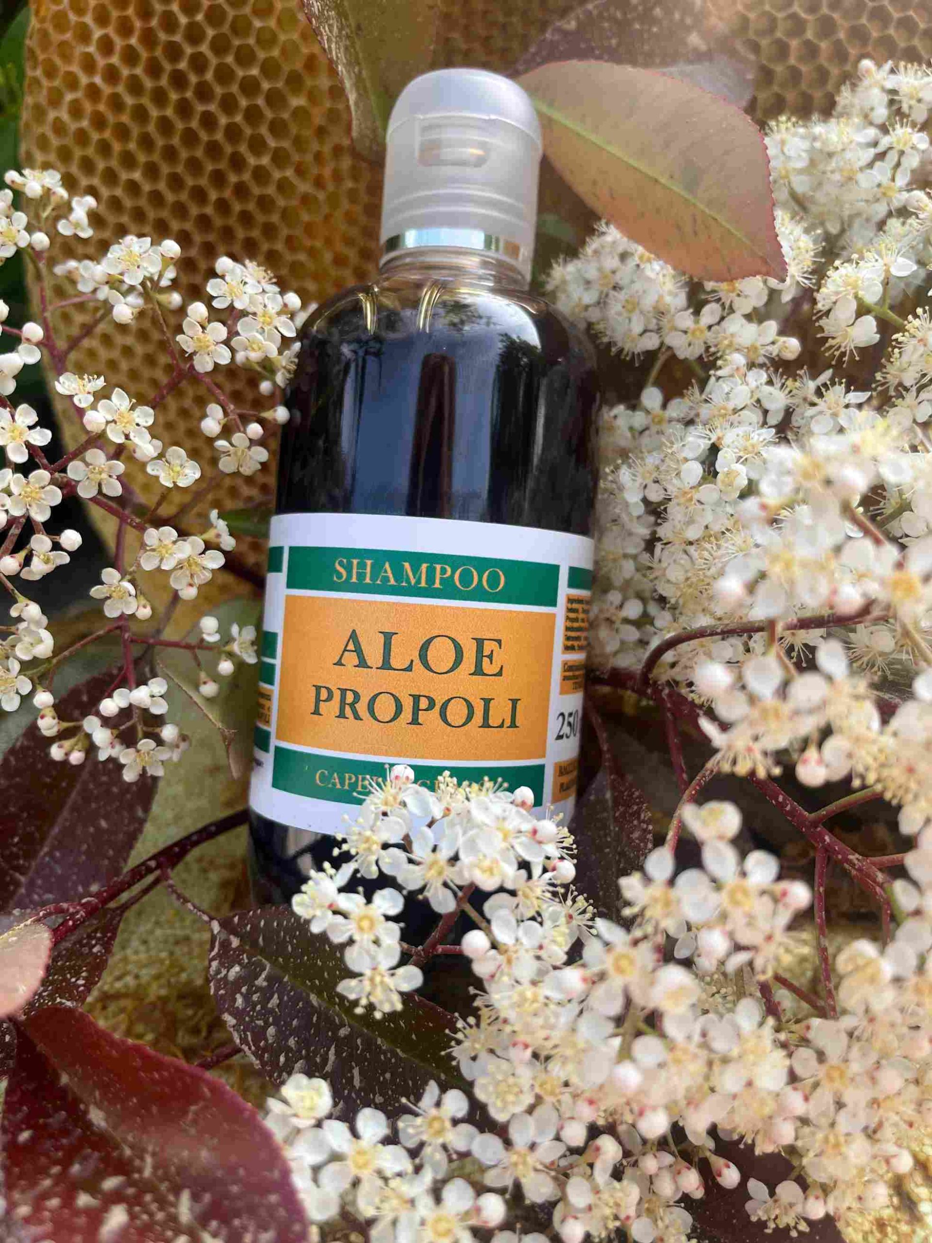 shampoo aloe e propoli